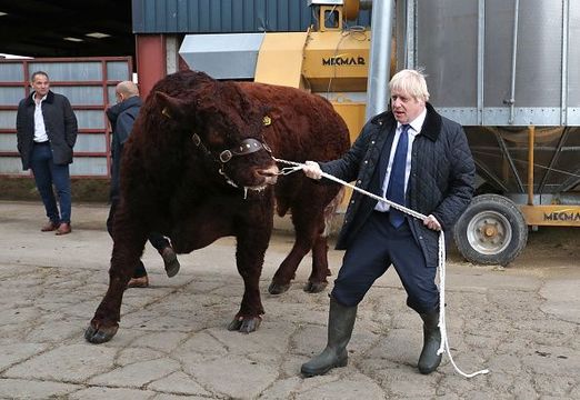 British Prime Minister Boris Johnson leads a bull around a pen as he visits Darnford Farm in Banchory near Aberdeen on September 6, 2019 in Aberdeen, Scotland. The Prime Minister travelled to Aberdeenshire visiting Peterhead fish market and a farm to coincide with the publication of Lord Bew’s Review and the announcement of additional funding for Scottish farmers. He is expected to stay overnight at Balmoral with the Queen.  (Photo by Andrew Milligan - WPA Pool/Getty Images)