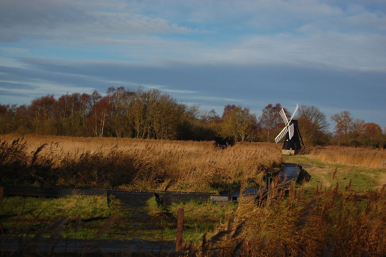 Wicken Fen Nature Reserve, Cambridgeshire. Wicken Fen Nature Reserve, Cambridgeshire.